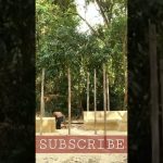 #underground #house #building #swimming #pool #instagram #youtube #youtubeshorts