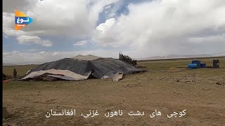 همه دشت ناهور را کوچی گرفته بود | دیدن از دشت ناهور | از توغ مدیا توغ کنید