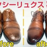 ノーメンテナンスでぼろぼろの革靴を洗わず磨きだけで復活させてみた