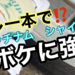 トラックアルミホイール磨き　ハイトレ使わず