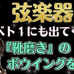 【弦楽器】『靴磨き』のボウイングって？オーケストラでも頻繁に出てくる弓のストローク?ベートーヴェン、ベルリオーズ、リムスキー＝コルサコフで徹底解説✨ ヴァイオリン、ヴィオラ、チェロ、コントラバス