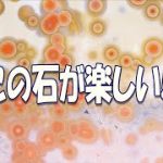 石磨きはこの石が楽しい！