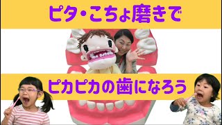 ピタ・こちょ磨きでピカピカの歯になろう【富里市】