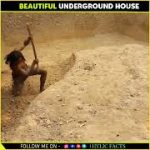 Build a amazing underground hut ? | #shorts #undergroundhouse #youtubeshorts