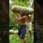 Create an underground house 6 #shorts