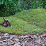 Girl Living Off Grid Built The Most Secret Underground Home, Girl Solo Bushcrafts Survival