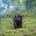 I Dig To Build The Most Beautiful Underground House, ManAncientWilderness