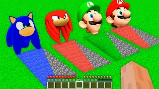 I Found new SECRET UNDERGROUND HOUSE of SONIC KNUCKLES MARIO and LUIGI in Minecraft – Coffin Meme