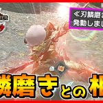 【刃鱗磨き】双剣と相性バツグン？使用する時に気をつける事！【MHRS/サンブレイク】