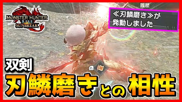 【刃鱗磨き】双剣と相性バツグン？使用する時に気をつける事！【MHRS/サンブレイク】