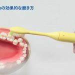 Philips One 磨き方