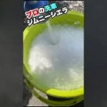 ジムニーシエラ プロが洗車しました！#Shorts