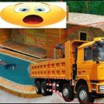 THE SURVIVAL TEMPLE BUILDING EXPOSED