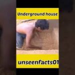Underground house ? #shorts #experiment