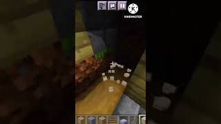 amazing Minecraft underground house#shorts