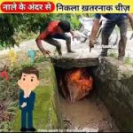 ऐसा क्या देख लिया है इन लोगों ने नाले के अंदर?|giant snake swallowed the chicken#shorts #facts