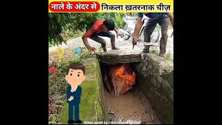 ऐसा क्या देख लिया है इन लोगों ने नाले के अंदर?|giant snake swallowed the chicken#shorts #facts