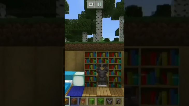 minecraft/Underground house