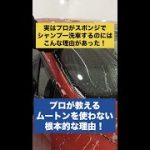 実はプロが洗車で愛用するのはスポンジだった！ムートンを使わない根本的な理由！#洗車 #洗車の仕方 #shorts #ムートン #洗車 #ミット #洗車 #研磨  #コーティング #手洗い洗車
