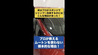 実はプロが洗車で愛用するのはスポンジだった！ムートンを使わない根本的な理由！#洗車 #洗車の仕方 #shorts #ムートン #洗車 #ミット #洗車 #研磨  #コーティング #手洗い洗車
