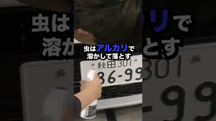 虫汚れ　塗装　悪影響 #洗車 #shorts #コーティング #carwash #洗車の仕方 #虫汚れ