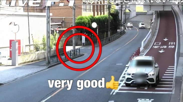 貴方なら止まれる⁈違反する車と違反しない車の特徴を見よ！