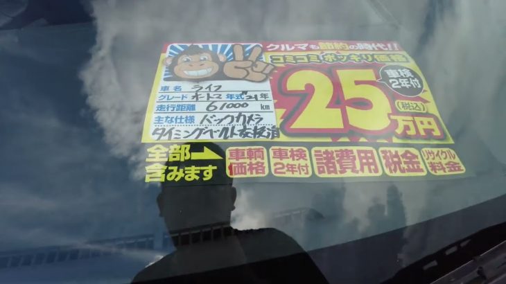 【田舎の中古車屋の商い】仕入れに苦戦してます。ピースチャンネル