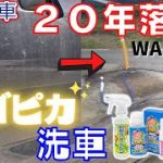 廃車寸前の車の輝きを取り戻す【おさるのスゴピカ】