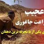 سال عجیب، گفته های یکی از باتجریه ترین دهقان جاغوری