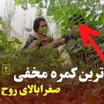 جالب ترین کمره مخفی صغرا بالای روح الله