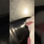 その地位は譲らない！靴磨き教室でも自分が自分がの靴磨き屋店主。