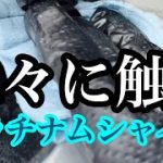 トラックアルミホイール磨き