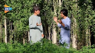 کمره مخفی دو بچه ابغه