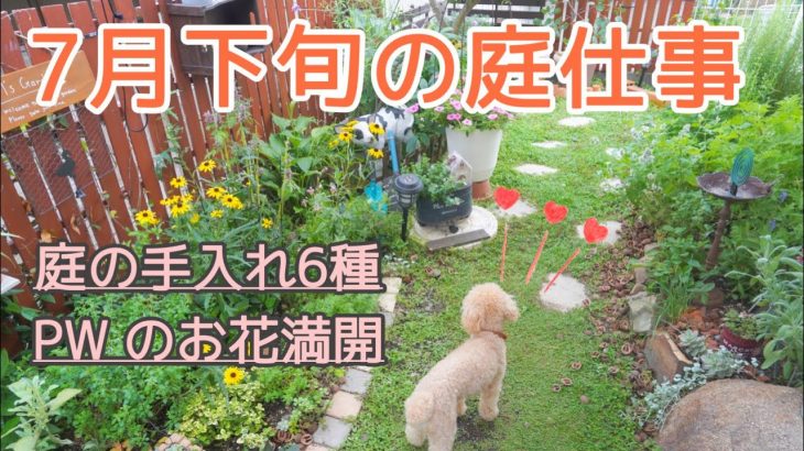 [ガーデニングvlog】剪定.誘引.レンガ磨き/アイビーのハート仕立て/雨晒しの多肉花壇/PW の花