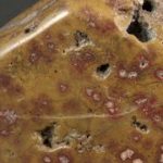 根尾谷産御殿桜石 原石 磨き 298g / Japanese Jasper