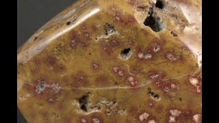 根尾谷産御殿桜石 原石 磨き 298g / Japanese Jasper