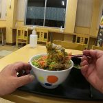 東北道車中泊歯を磨き花輪ＳＡ松屋で青ネギたま牛丼を食べて駐車場で寝ました。520円。