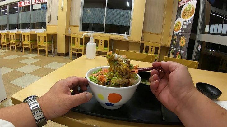 東北道車中泊歯を磨き花輪ＳＡ松屋で青ネギたま牛丼を食べて駐車場で寝ました。520円。