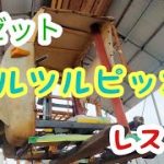 【ミゼットバーハンドル】ミゼットＤＫＡエンジン不動車　#8エンジン磨き　#レストア #ミゼット #bemo #ダイハツ