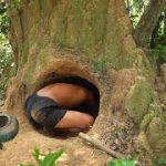 Build Incredible Fastest Wooden House Method with Grass Roof