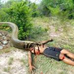 EASY SNAKE TRAP / Build Underground Balloons​ Catch Big Snake #snaketrap