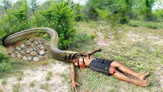 EASY SNAKE TRAP / Build Underground Balloons​ Catch Big Snake #snaketrap