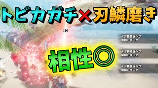 【MHサンブレイク】傀異化トビカガチに刃鱗磨き使ったら斬れ味ほぼ無限【ゆっくり実況】