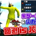 【MHRise実況】『巧撃』×『刃鱗磨き』回避ハンマーとか楽しいに決まっとる！【サンブレイク】