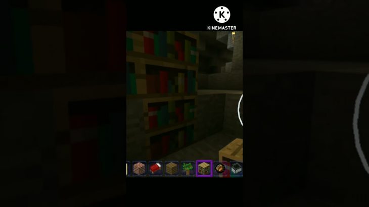 My New Underground House ???