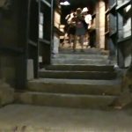 Pool of Siloam Steps Part 3 | Jesus (Yeshua) and His apostles walked these steps to go to the temple