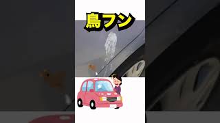 実は虫汚れを放置すると塗装面に大きなダメージが！？プロが教える危険性とは！#洗車 #洗車の仕方 #carwash #虫汚れ #鳥フン #研磨 #コーティング