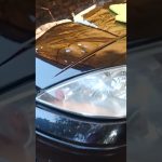 polimento carro preto tem segredo ? olha aí #shorts #shortvideo #short