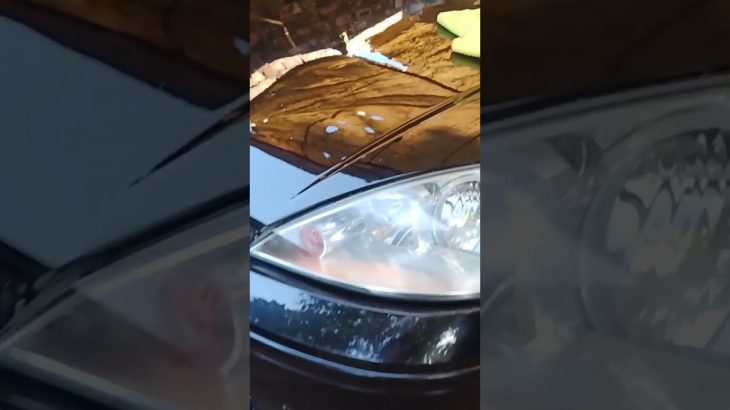 polimento carro preto tem segredo ? olha aí #shorts #shortvideo #short