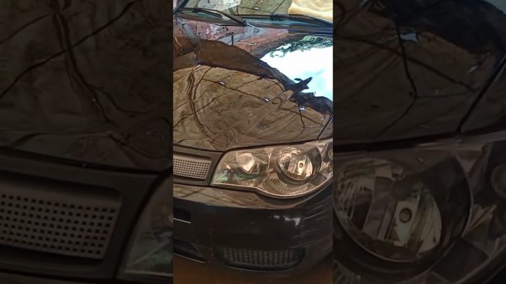 polimento técnico pintura automotiva espelhada original #shorts #shortvideo  #polimentoautomotivo